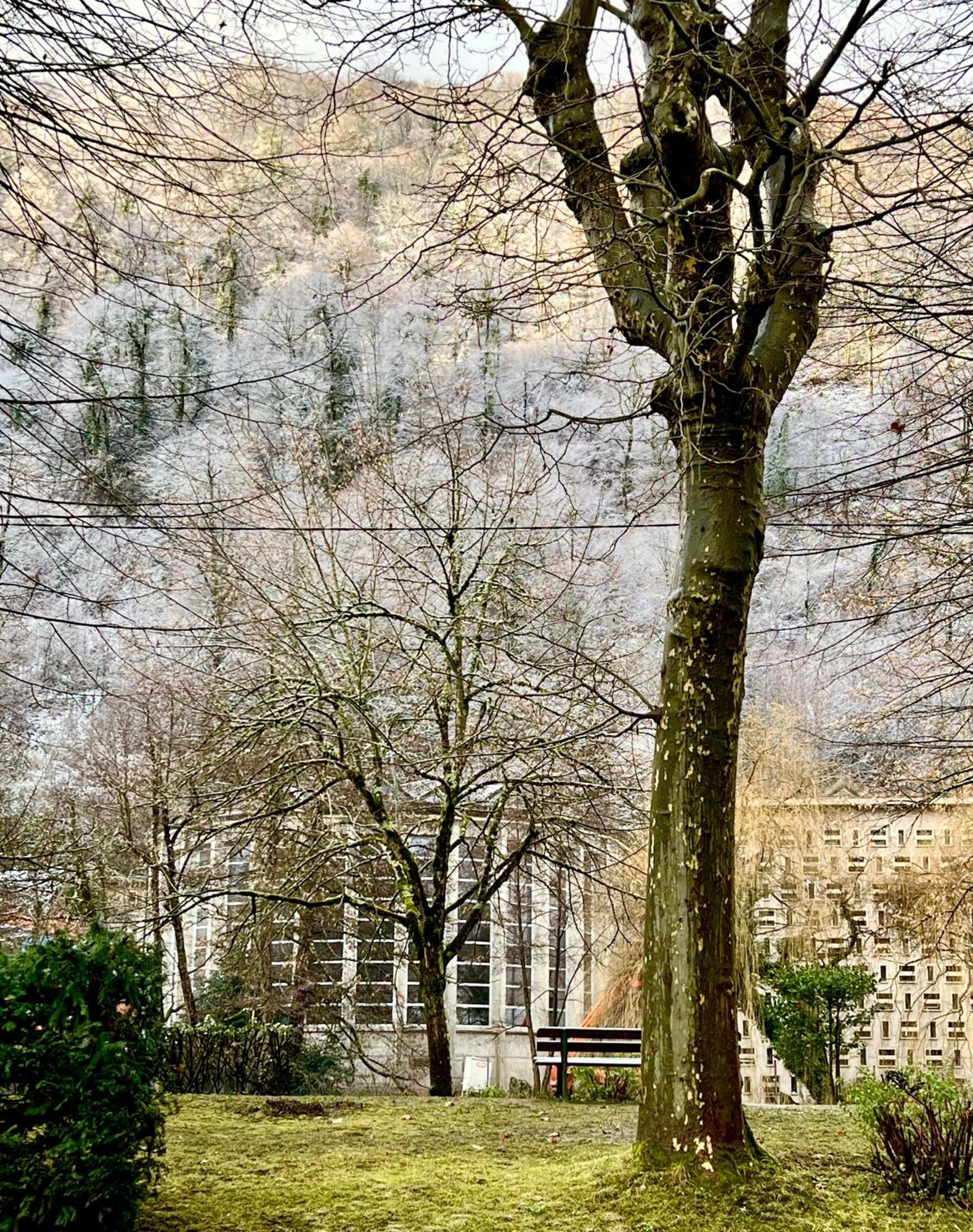 Fantastic Ground Floor Apartment Opposite Thermes Bagnères-de-Luchon Exteriér fotografie